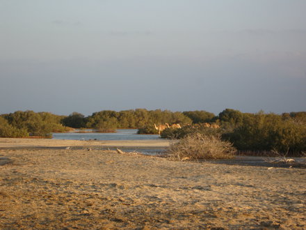 Autres paysages - Bérénice