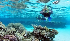 597239752_snorkelling8
