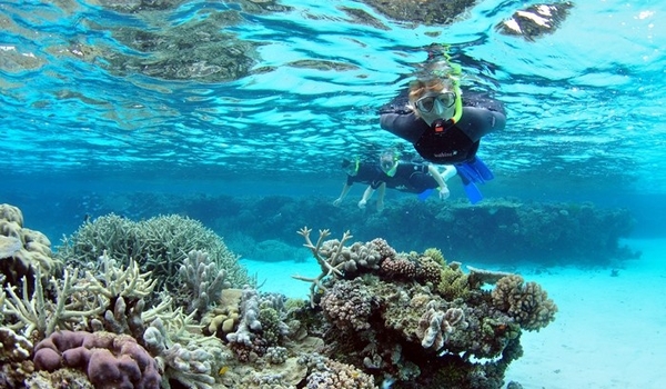 597239752_snorkelling8