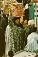 Egyptian woman, Cairo 1970. 